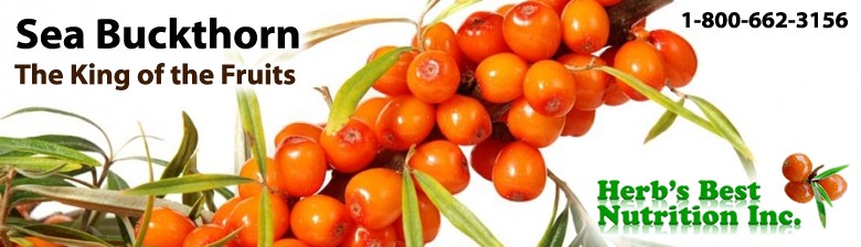 Sea Buckthorn Oil
